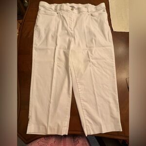 Size 18 W Allison Daily Capris